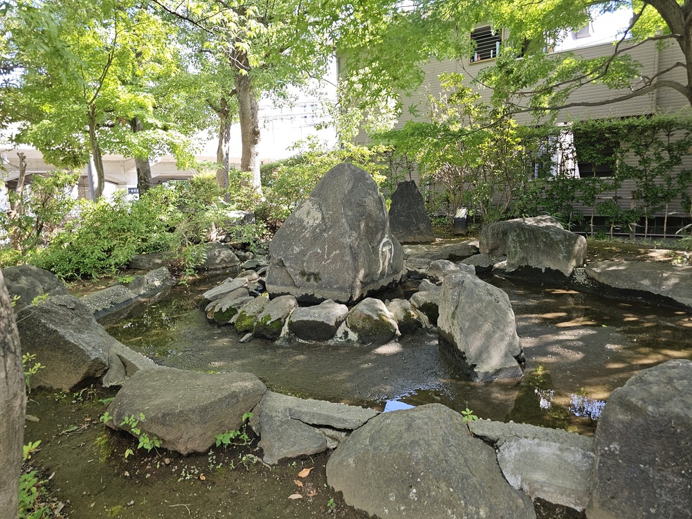 小川の景色